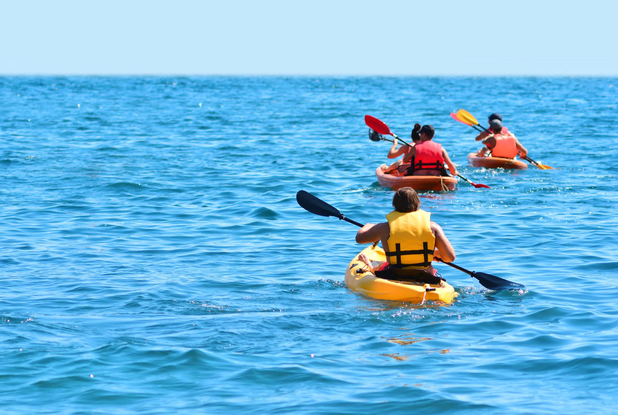 A group of kayaks are swimming by the sea